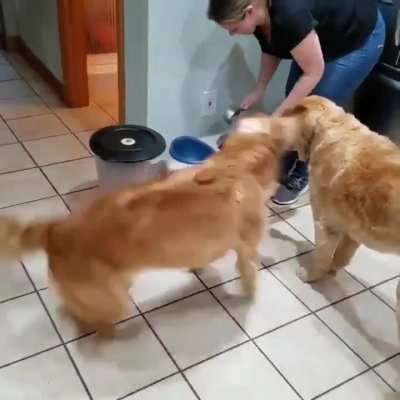 Feeding an old dog vs feeding a young dog.