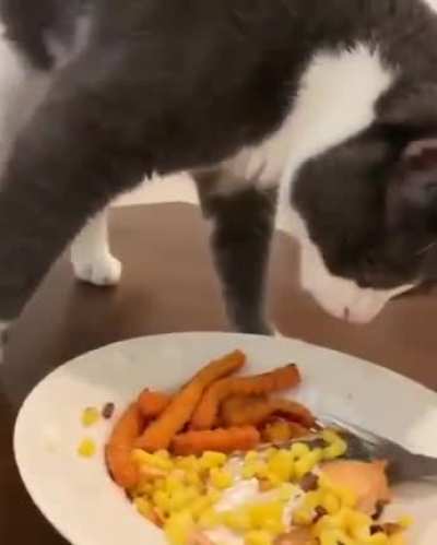 Murdered this person&rsquo;s cooking