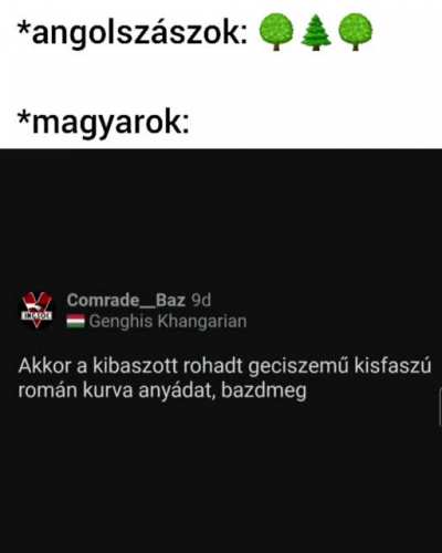 M&eacute;g magad sem tudod, milyen m&eacute;ly a Visegrad4you &uuml;rege, Neo