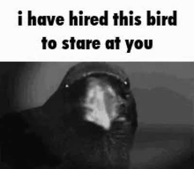 I am down $4.57