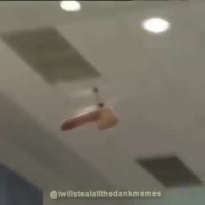 The &lsquo;Drone&rsquo;