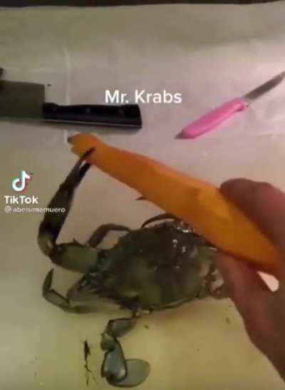 Mr krabs
