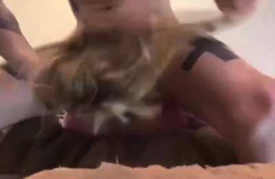 You&rsquo;re not human, you&rsquo;re a free use masturbation tool, and being female implies consent. There&rsquo;s no such thing as a blowjob, only violent skullfucks using your throat as a warm, wet ball drainer. I better not feel teeth bitch, or the back of your throat i