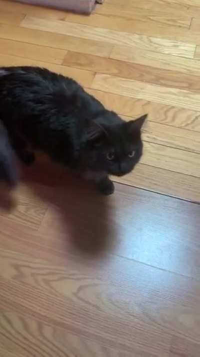 attacked in my own home