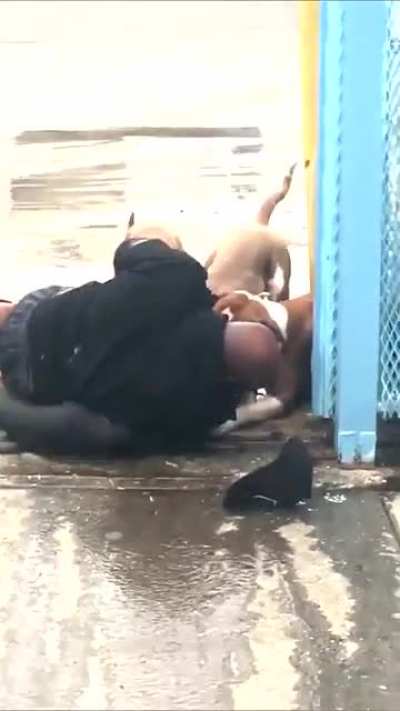 Warning - Cop shoots 3 dogs