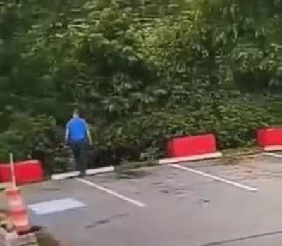 My fellow cars need me