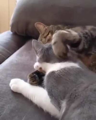 A better sleep