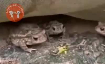 &eth;&cedil; &eth;