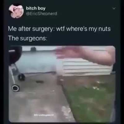 nuts