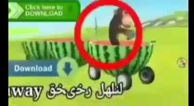 Oompa Funny Monkey Moment
