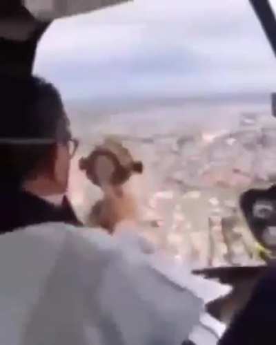 Nooo para Francisco no lo hagas