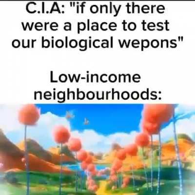 true