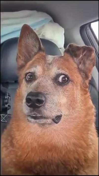 MRW watching what's going on in the US as an European
