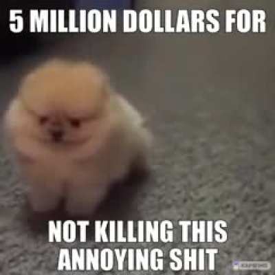 5 milin doler for not umm uhmm umm umm uhmmm umm
