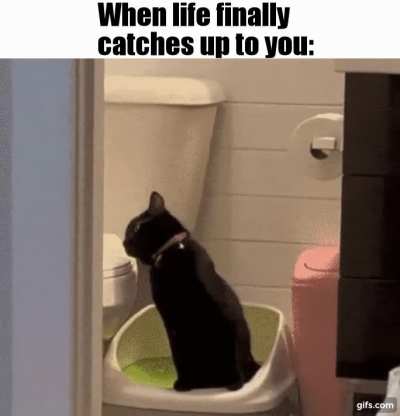 meirl