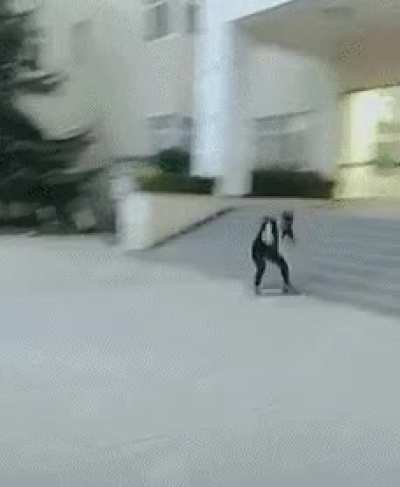 blursed_spider