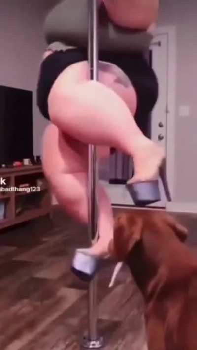 eu_nvr