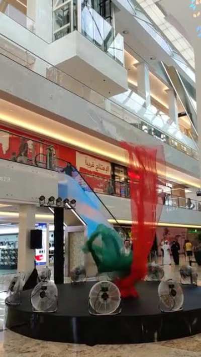 fabric performing in the mall