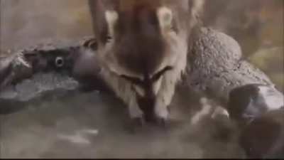 Че за на.... еп... колдунство !!!!