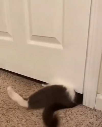 Bones? Nah&hellip;