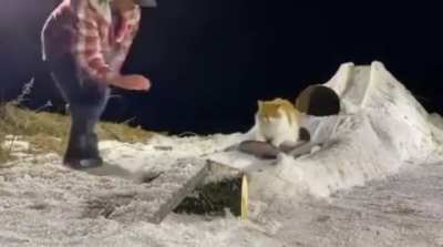 HMC while i try enjoy the ride