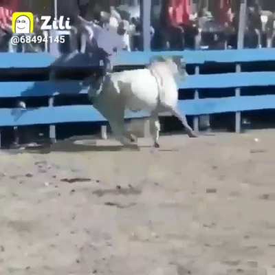 Headshot