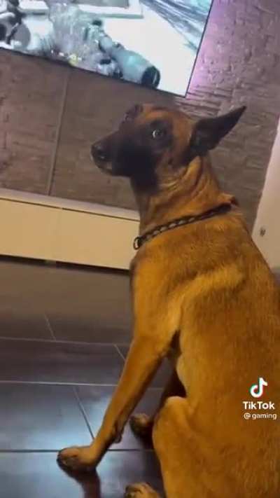 Scary dog