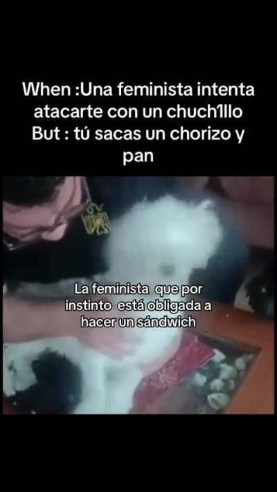 Xd