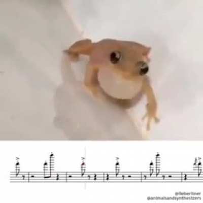 He is very talented