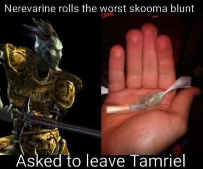 What are you doing Nerevarine