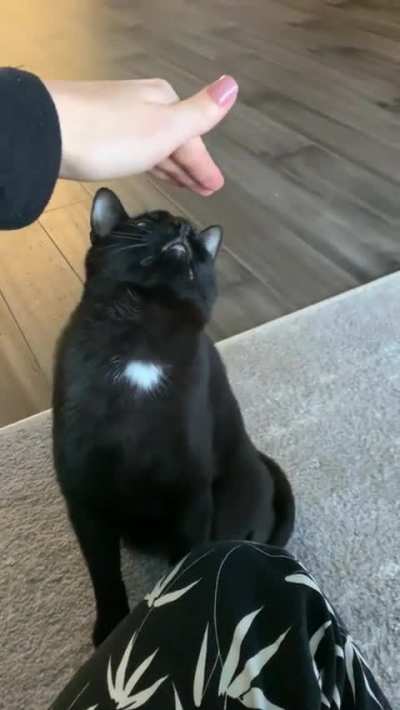 Don&rsquo;t touch my head please. No thank you.