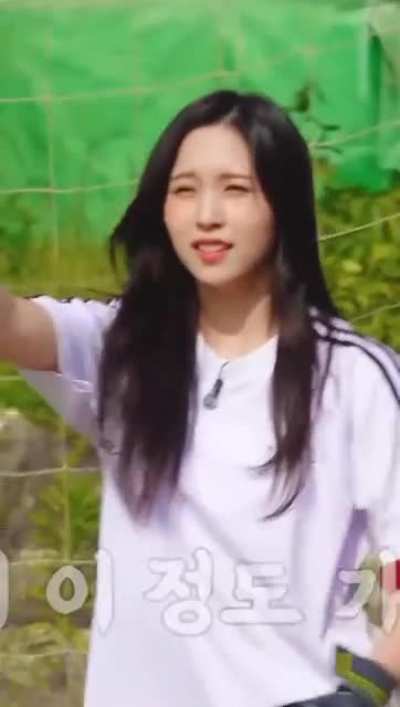"We're in trouble" - Jihyo