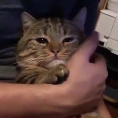 who broke his heart