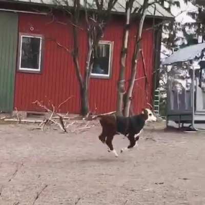 He&rsquo;s truckin&rsquo;