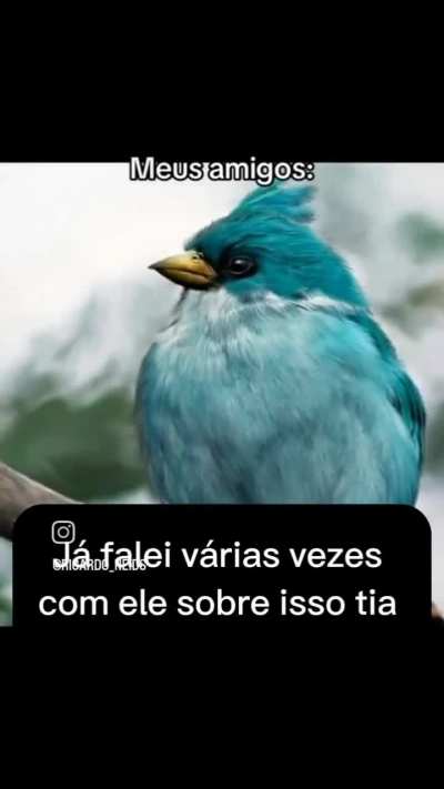 E t&aacute; errado?