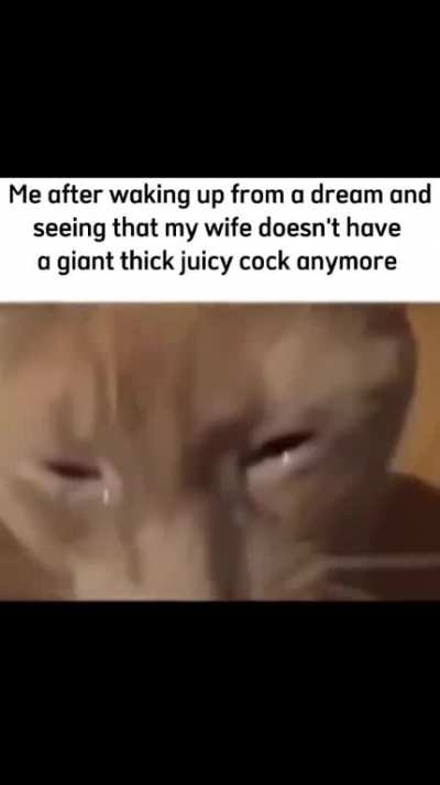 Femboys are ruining me