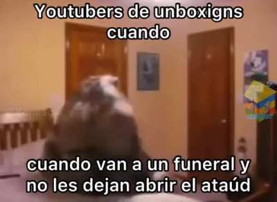 True