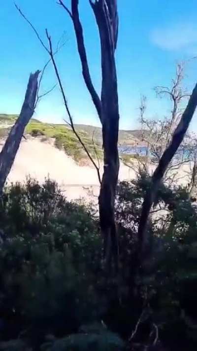 Middle of nowhere in the Australian bush