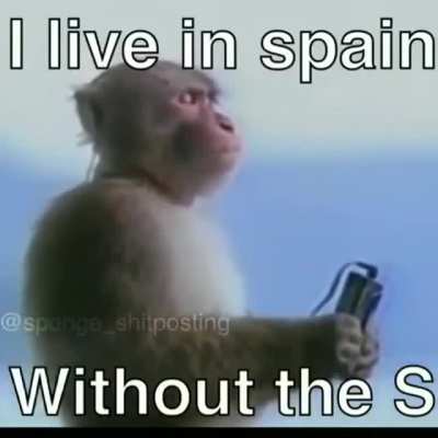 Feelsmonke 😔