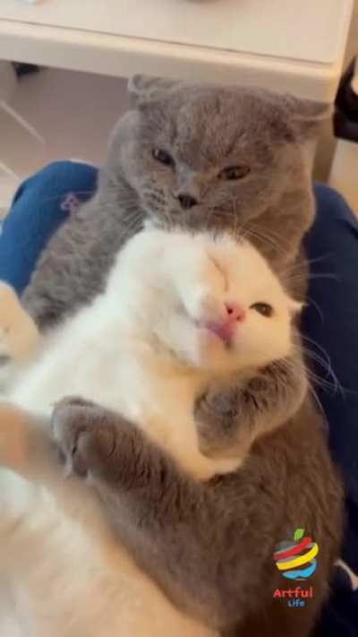 Hug