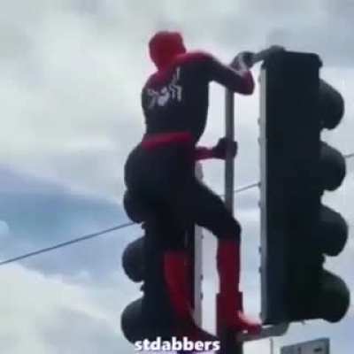 Spider Man?