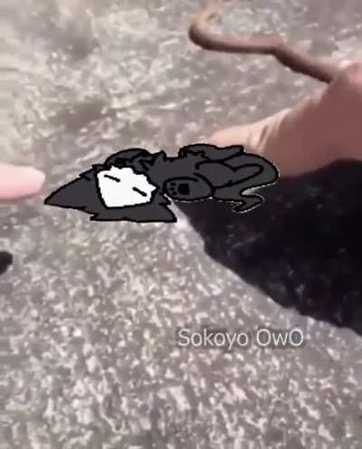 Little_Irl