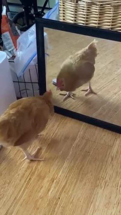 Cute uwu