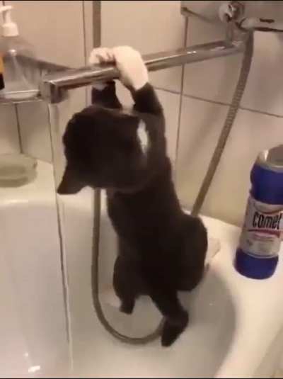 My Kitty WET WET ‼️🤣🤣