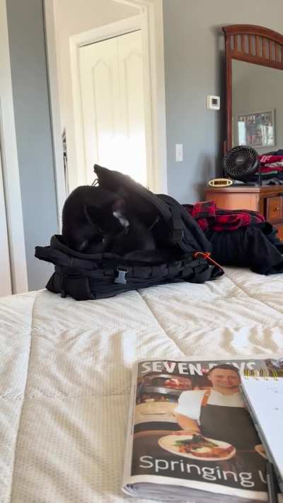 Stowaway