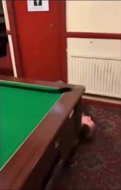 Who said pool wasn't a dangerous sport?