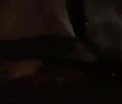 whats the origin i know the song but not the video it looks like Lost media idk