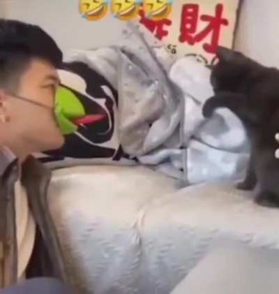 I can't stop watching