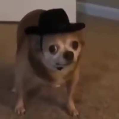 The outlaw