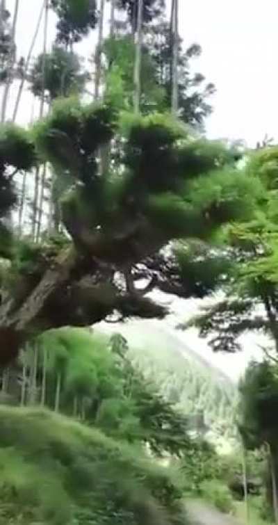 Amazing Place